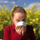Spring allergies